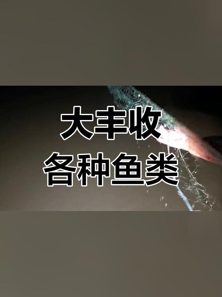 野生鱼种类丰富,收获满满