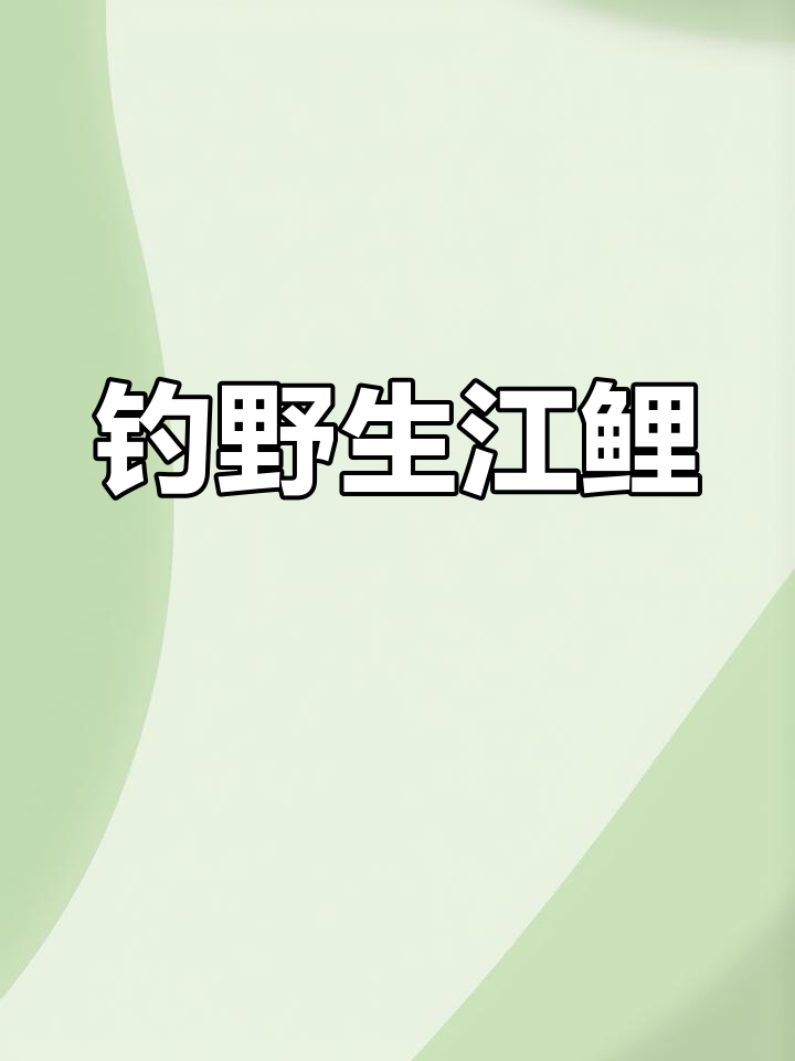 钓鱼之旅:挑战野生江鲤鱼