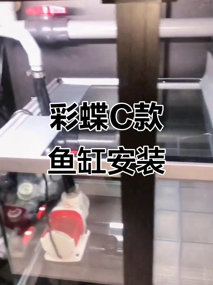 1.2米彩鲽C款鱼缸安装实测,效果惊艳!