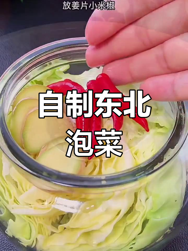 轻松在家腌制东北酸菜,脆爽美味快速发酵