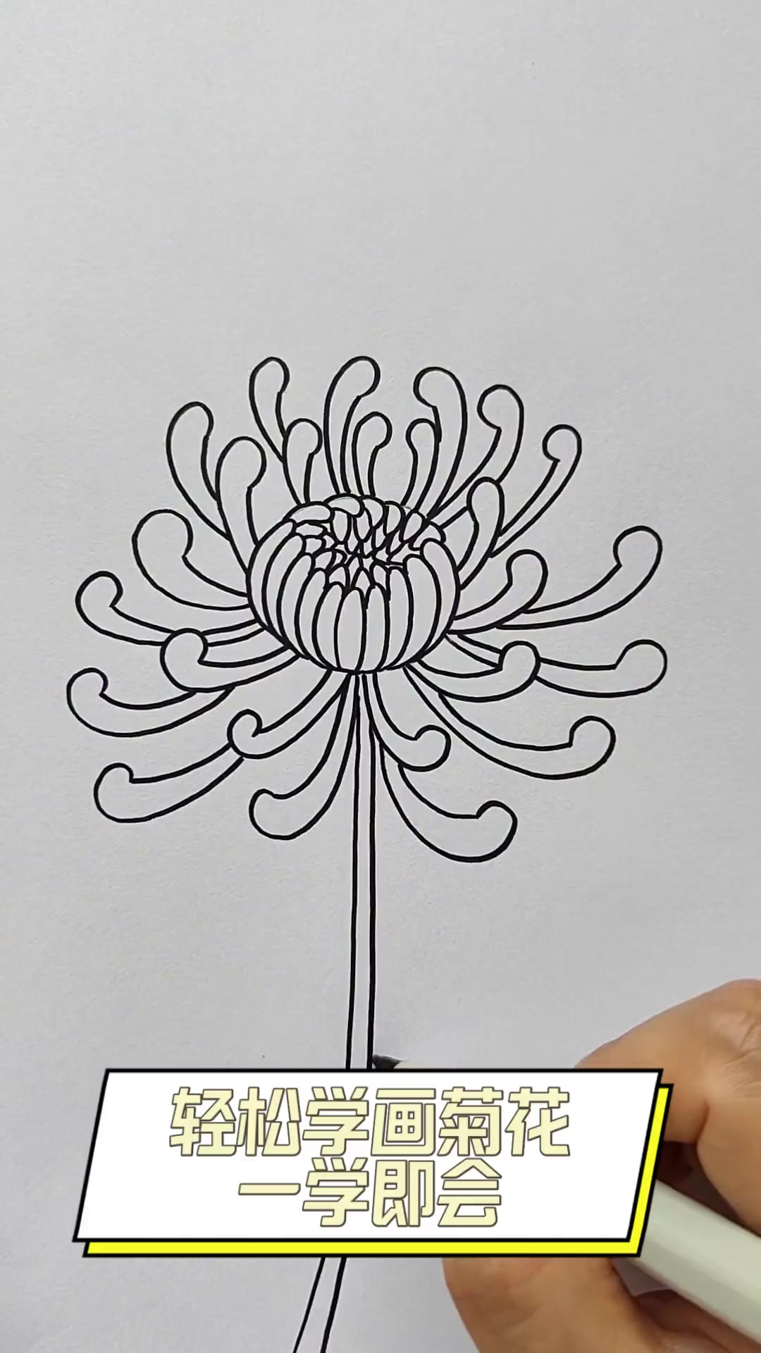 轻松学画菊花,一学即会