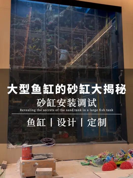 大型鱼缸的砂缸大揭秘 带大家看看大型鱼缸的砂缸里面装的是什么