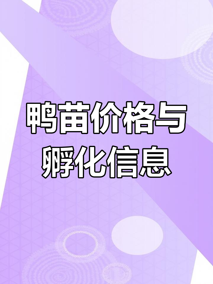 了解鸭苗市场行情,孵化场价格动态全掌握
