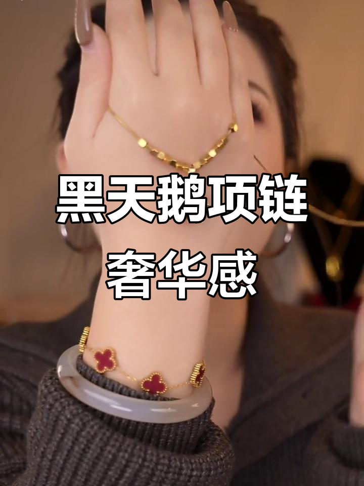 立体黑天鹅项链，优雅又吸睛，蛇骨链搭配更显高贵