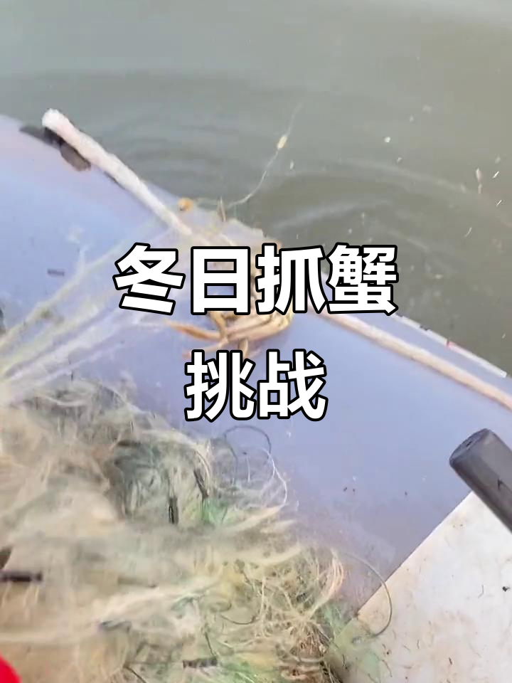 冬季捕鱼大作战,网里全是螃蟹!