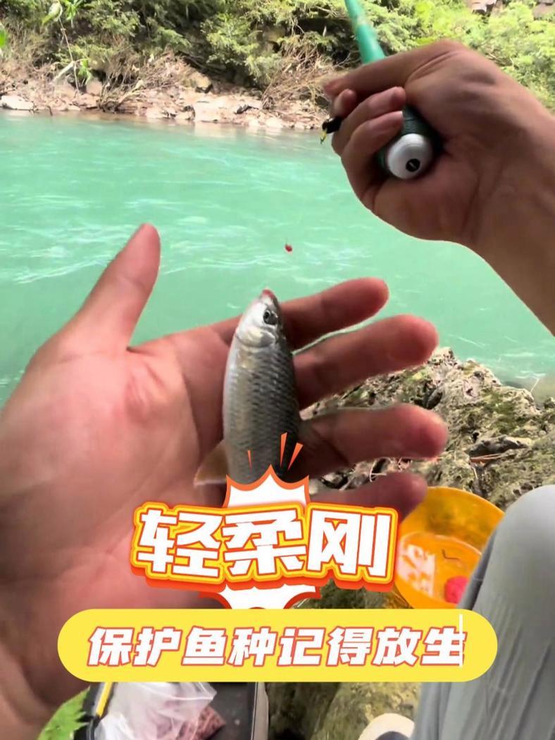 轻柔刚狂上保护鱼种?这鱼钓友们认识吗,知道的可以在评论区告诉大家 钓鱼的乐趣只有钓鱼人懂 