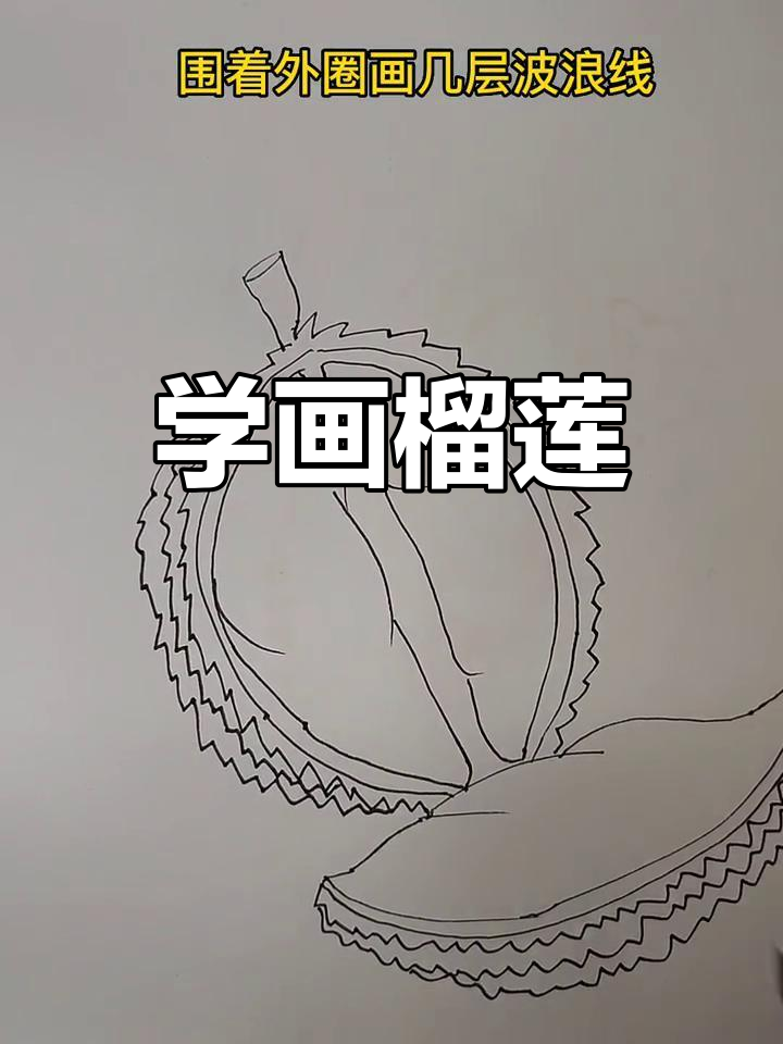 榴莲简笔画教程,轻松学会画