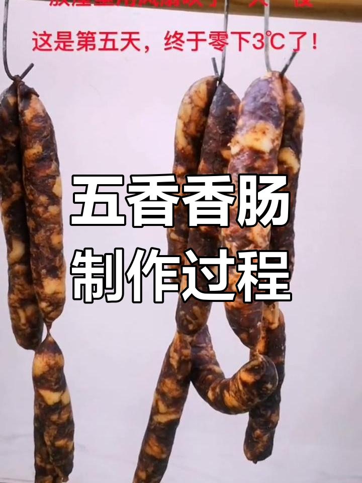 13元一斤后座肉,五香猪肉香肠晾晒与蒸煮全过程