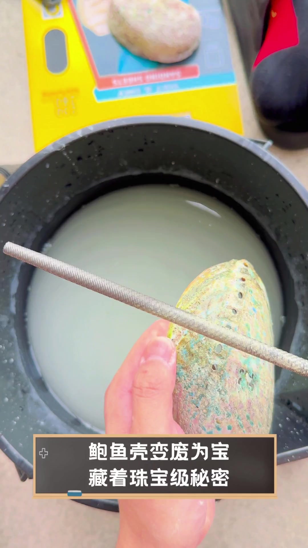 鲍鱼壳变废为宝,藏着珠宝级秘密