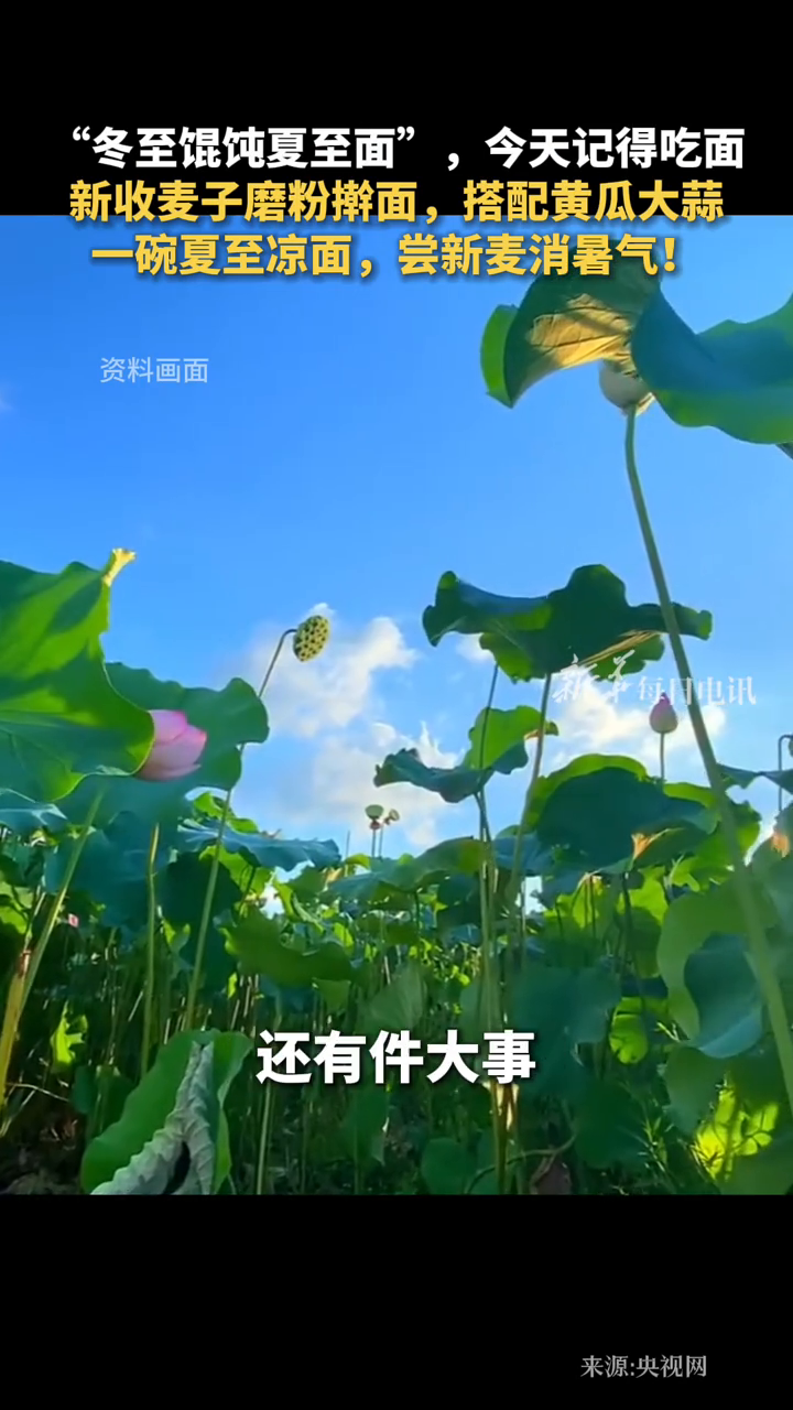 “冬至馄饨夏至面”，今天记得吃面！