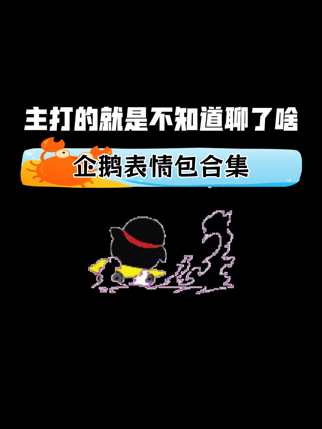 野生企鹅表情包大热,快来看看!