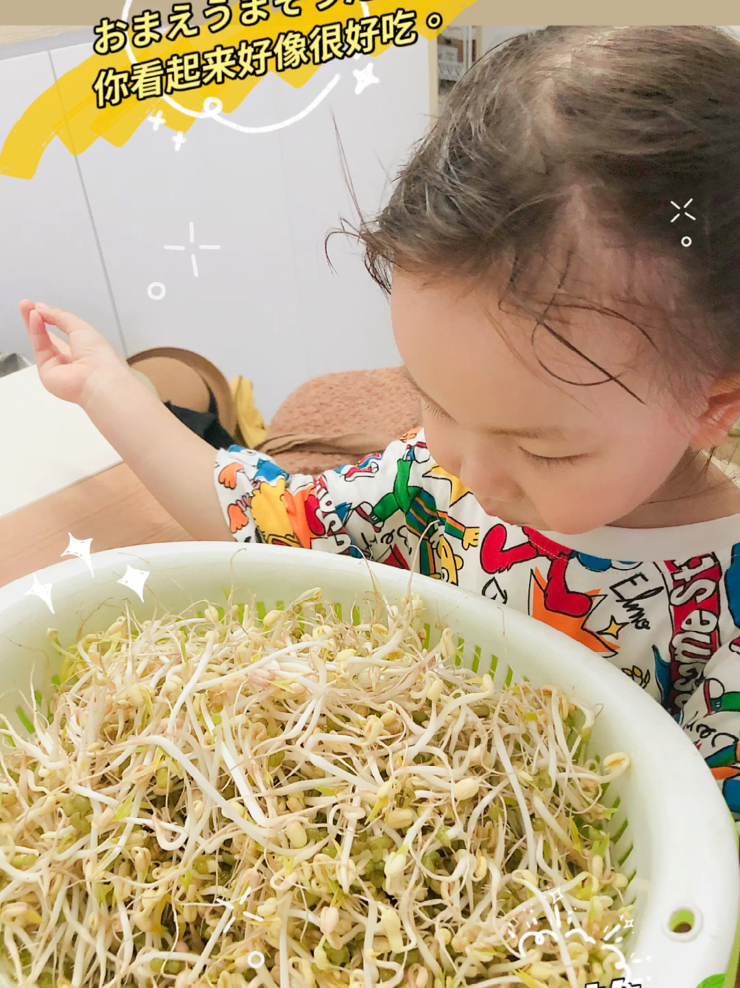 幼儿园作业|看绿豆是怎么变成豆芽菜的