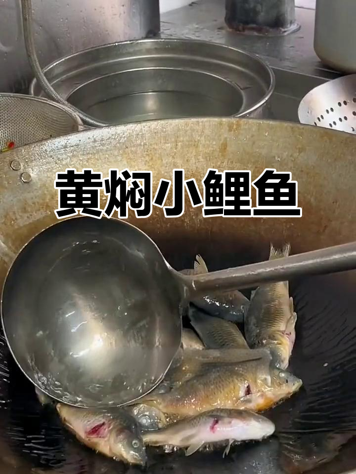 小鲤鱼黄焖做法,简单又美味