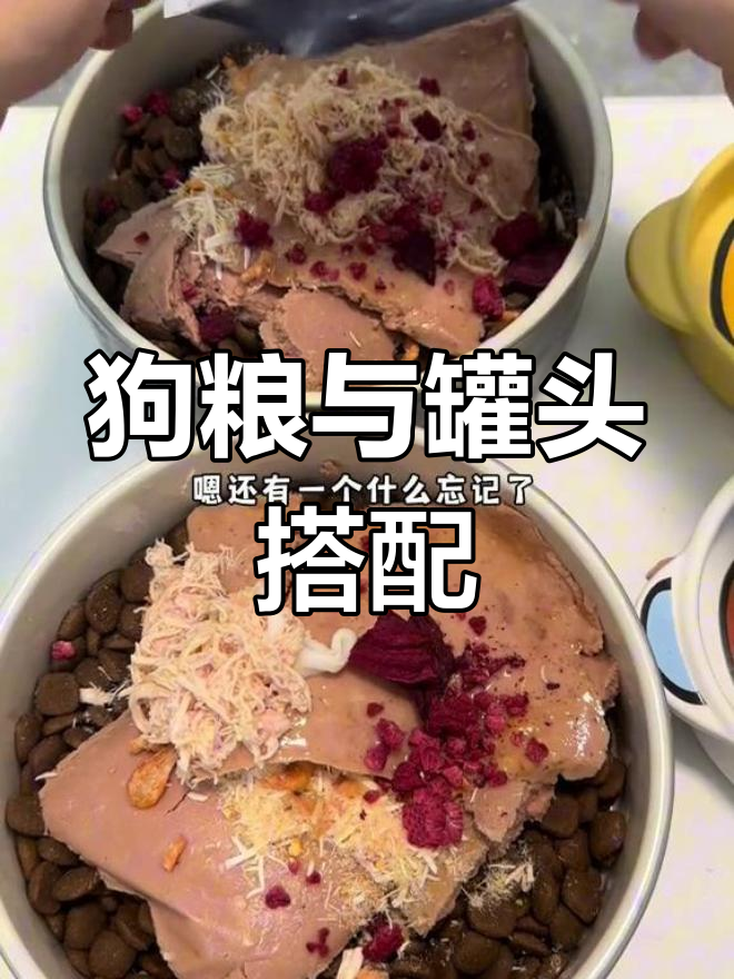 狗狗早餐大揭秘:鸡肉鸭肉配餐,营养满满