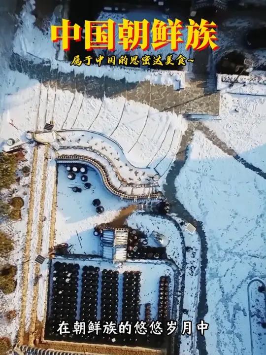 正宗延边朝鲜族辣白菜