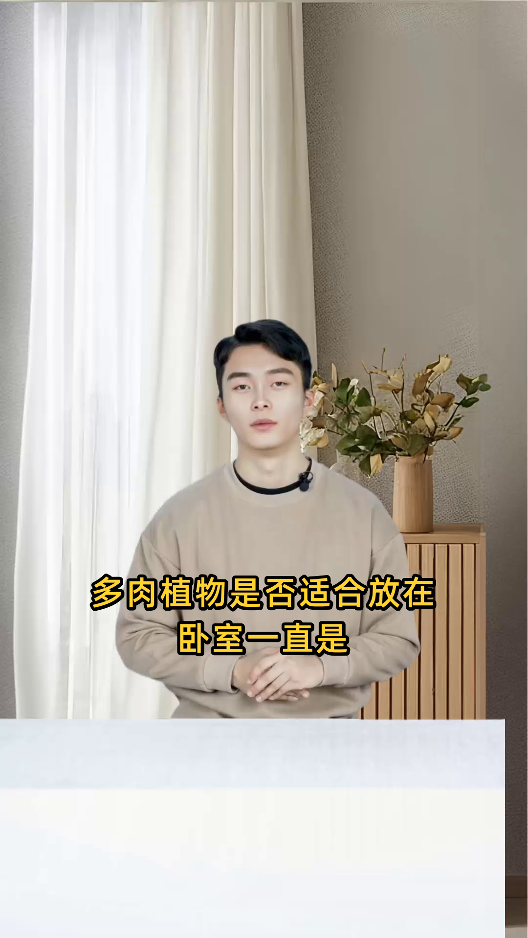 多肉植物是否适合放置于卧室环境中进行养护?