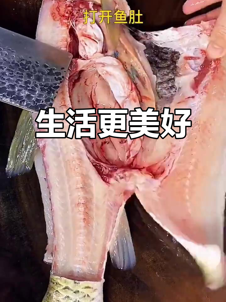 草鱼去骨,轻松上手!生活越来越精彩,为自己点赞吧!