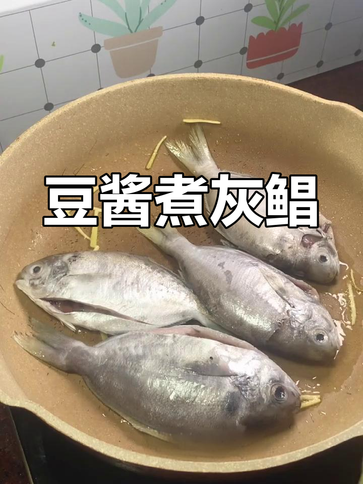 豆酱煮灰鲳鱼,鲜嫩美味开胃下饭,孩子吃得停不下来