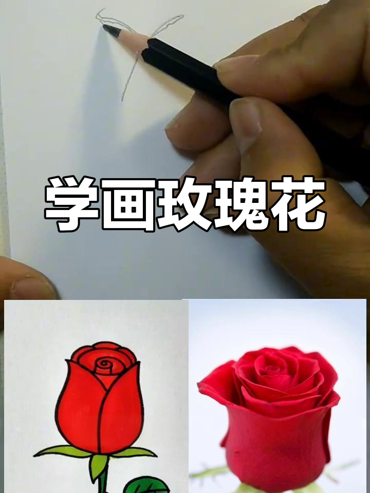 简单玫瑰花手绘教程