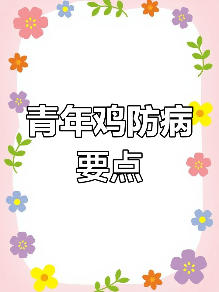 青年鸡脱温管理全攻略,秋季防疫关键点