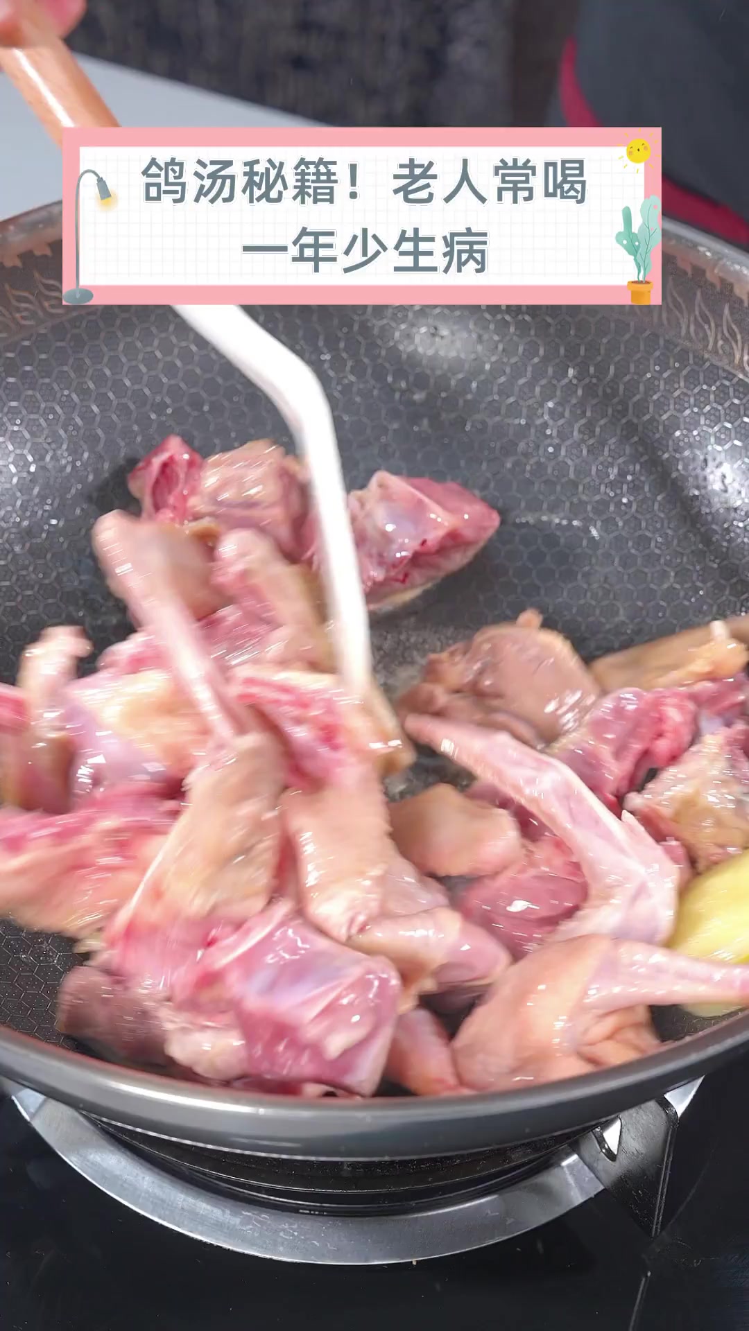 鸽汤秘籍!老人常喝,一年少生病