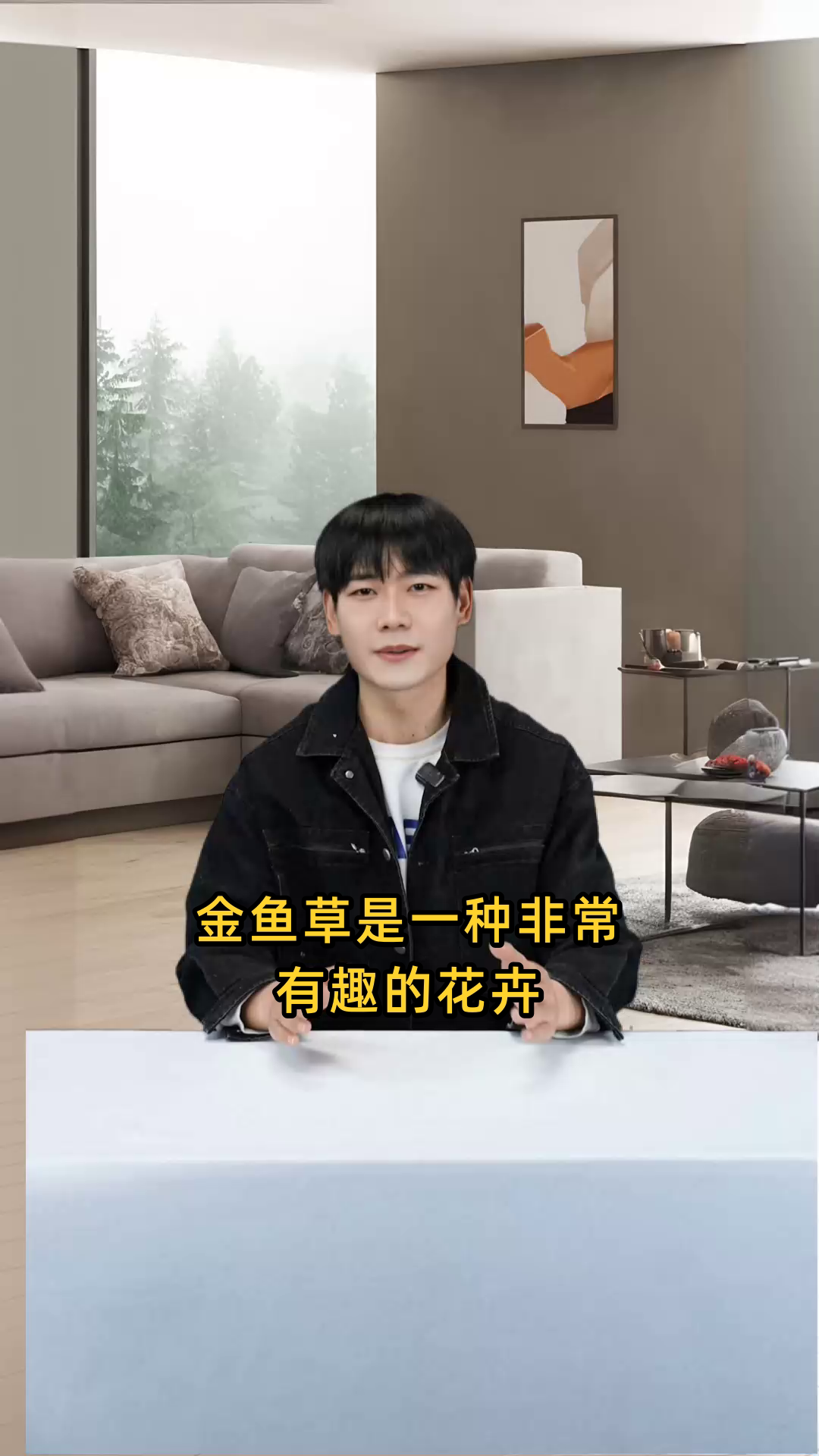 金鱼草寓意着繁荣昌盛和活泼,其花语为清纯的心和鸿运当头