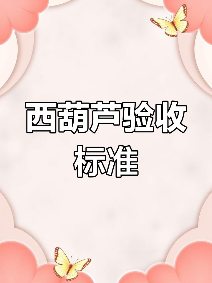 学校食堂西葫芦验收技巧,如何挑选新鲜嫩果