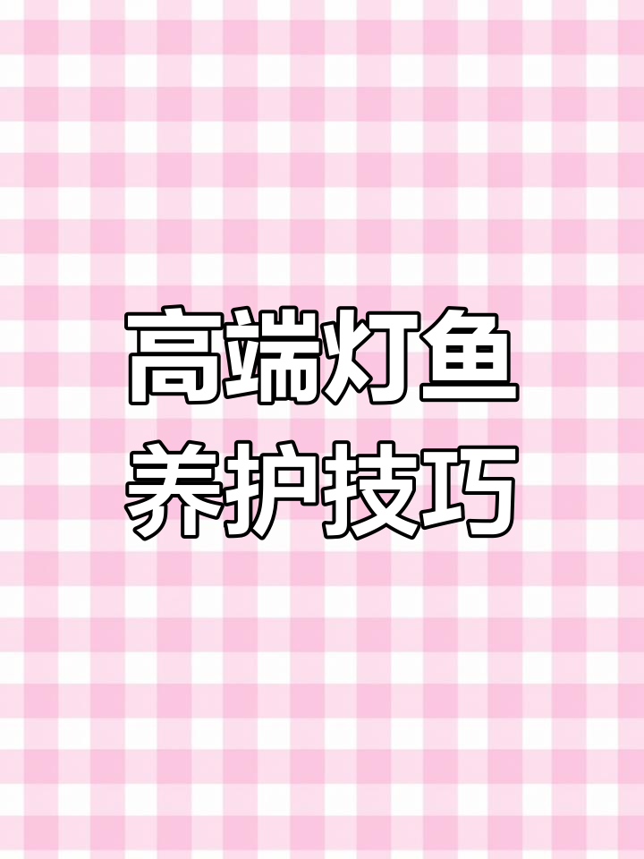 普卡诺火灵灯鱼饲养指南:如何打造最佳环境
