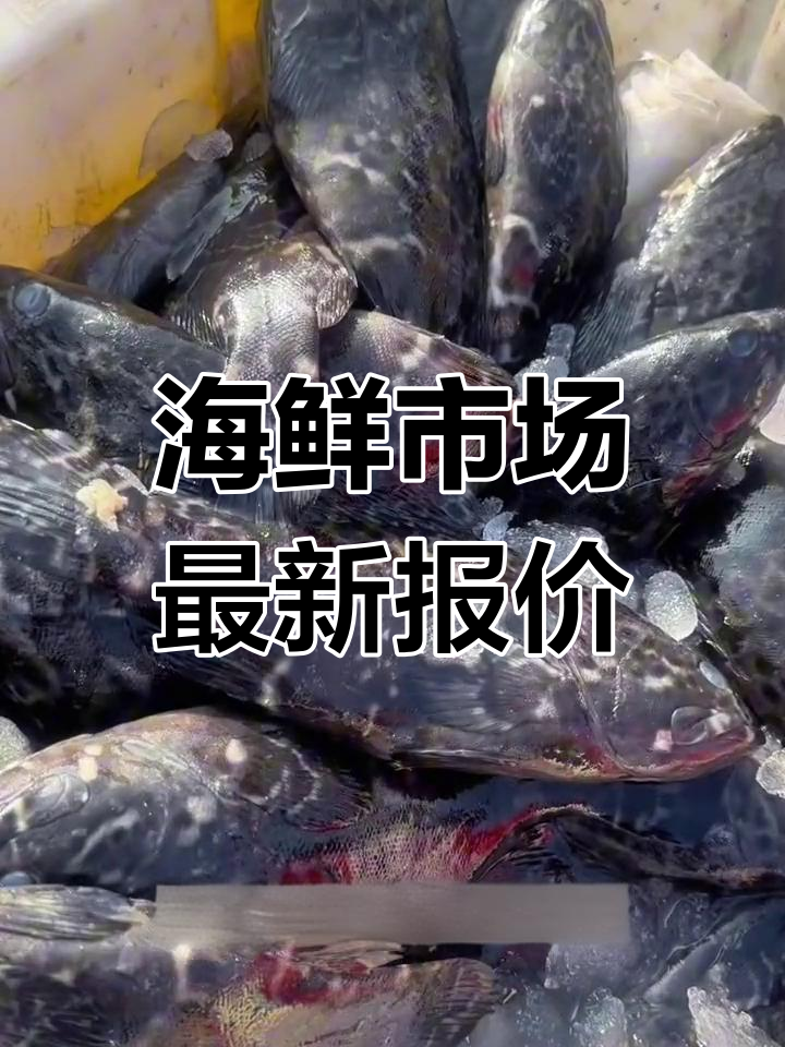 江苏连云港墟沟海鲜市场价格,八爪鱼、十八鱼等新鲜海产品