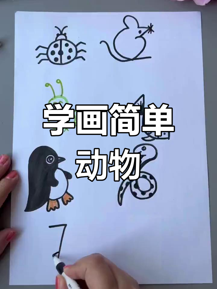 数字简笔画创意教程,轻松学画七星瓢虫、企鹅等