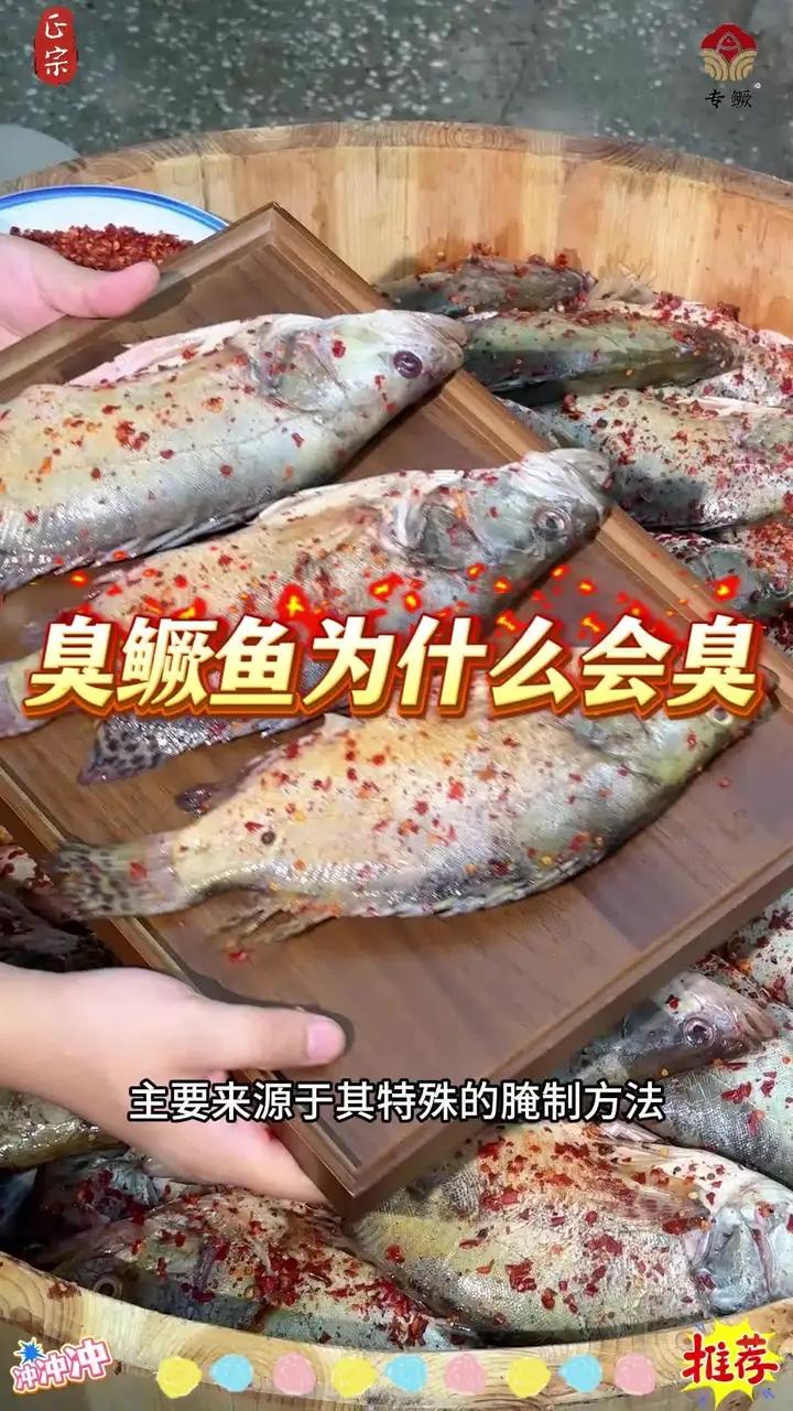 臭鳜鱼为什么会臭?#臭鳜鱼 #专鳜臭鳜鱼 #源头厂家 #安徽特产