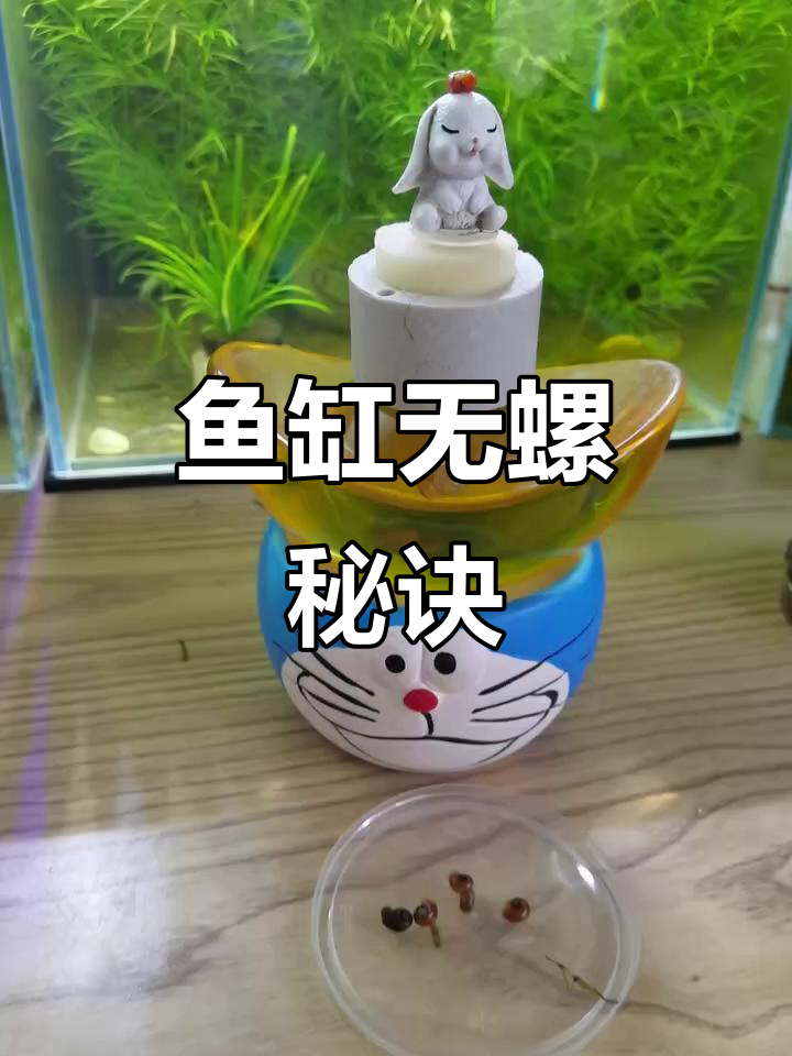 清除鱼缸螺卵,大小皆除,彻底告别螺旋困扰!