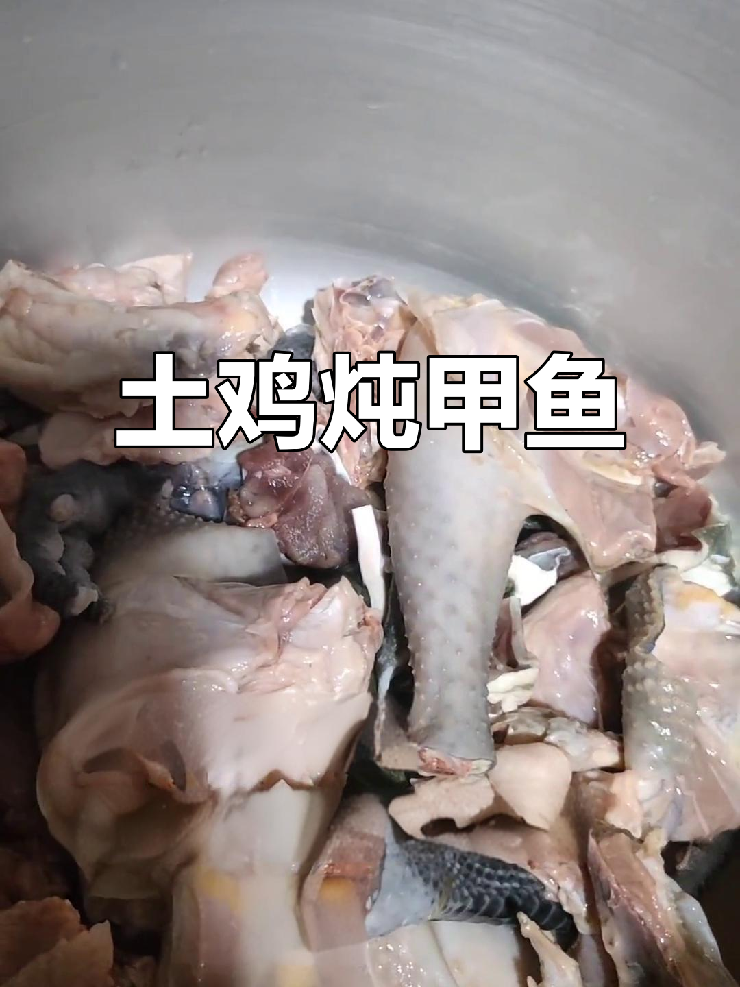 正宗土鸡炖甲鱼,滋补养生又美味