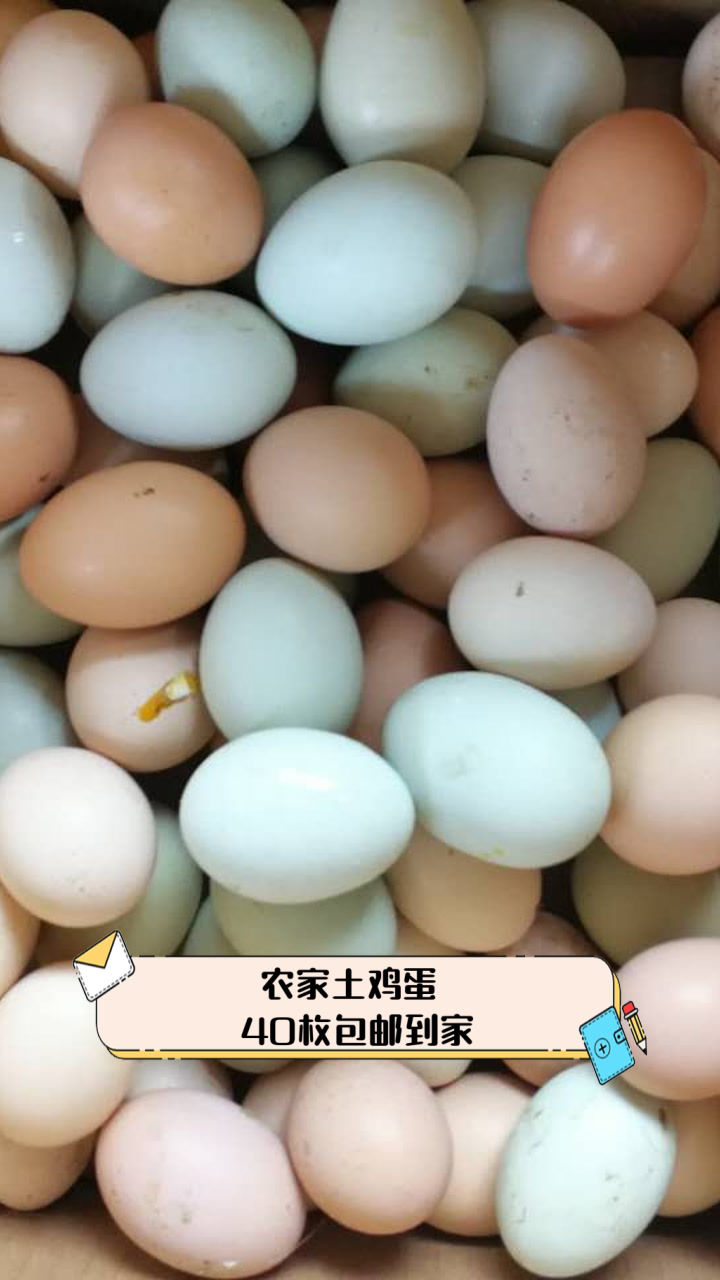 农家土鸡蛋,40枚包邮到家
