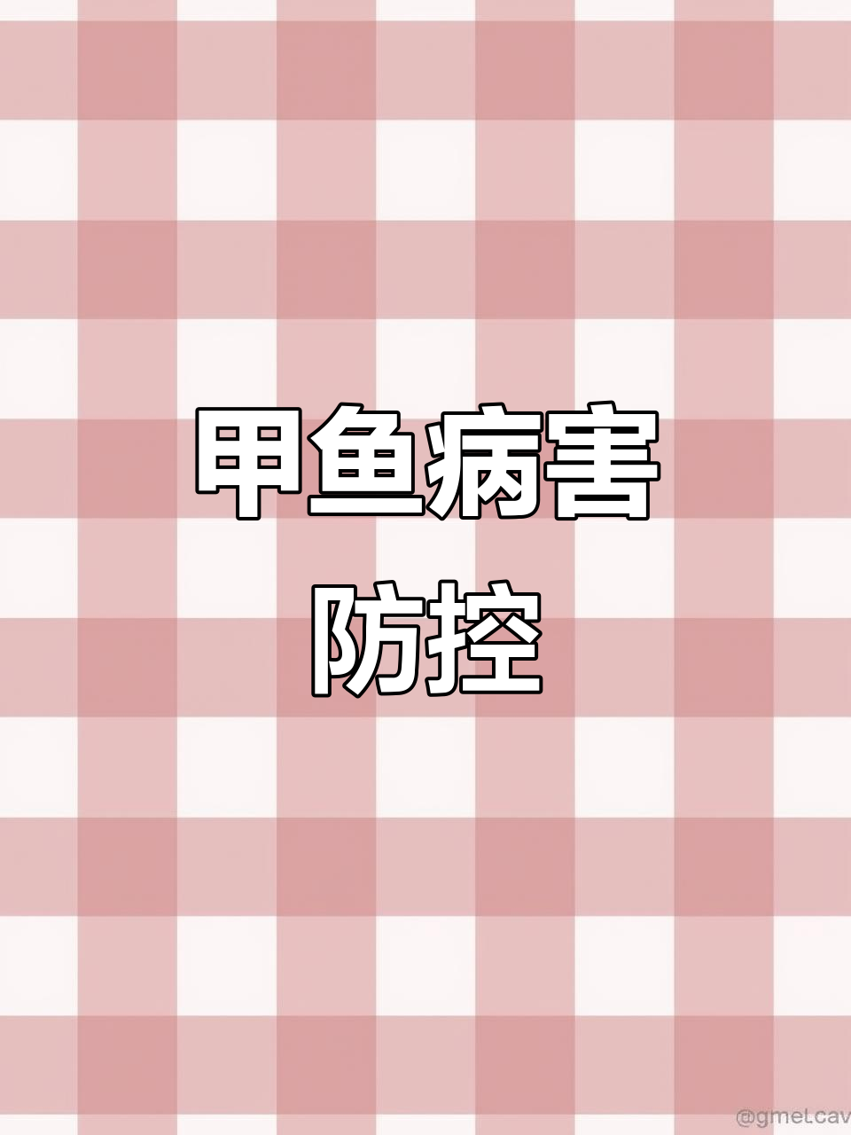 甲鱼养殖常见疾病与防治技巧