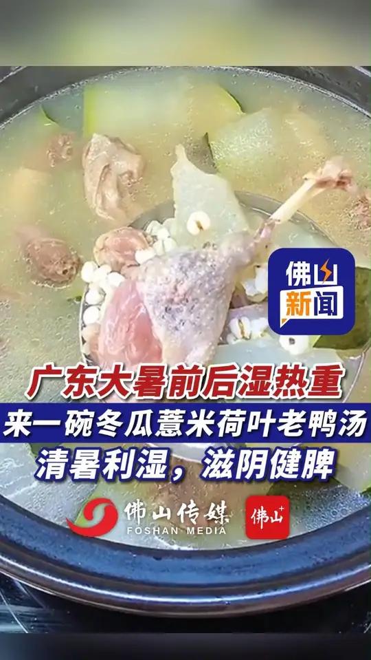 广东大暑前后湿热重,来一碗冬瓜薏米荷叶老鸭汤,清暑利湿,滋阴健脾(实习编辑:梁思琦;责编: