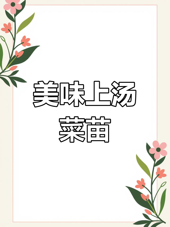 上汤菜苗,比肉还好吃!简单做法大揭秘