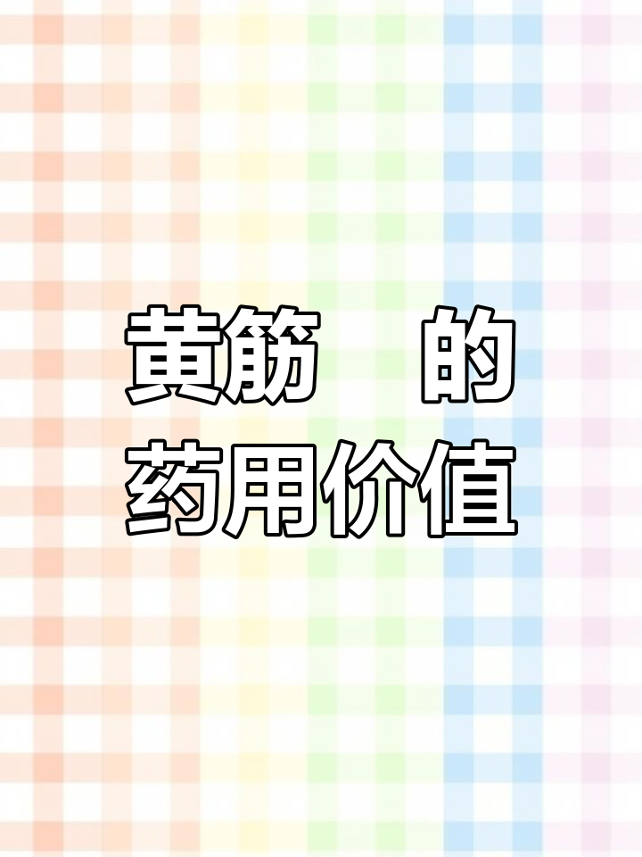 野生药材黄筋蔘的神奇功效
