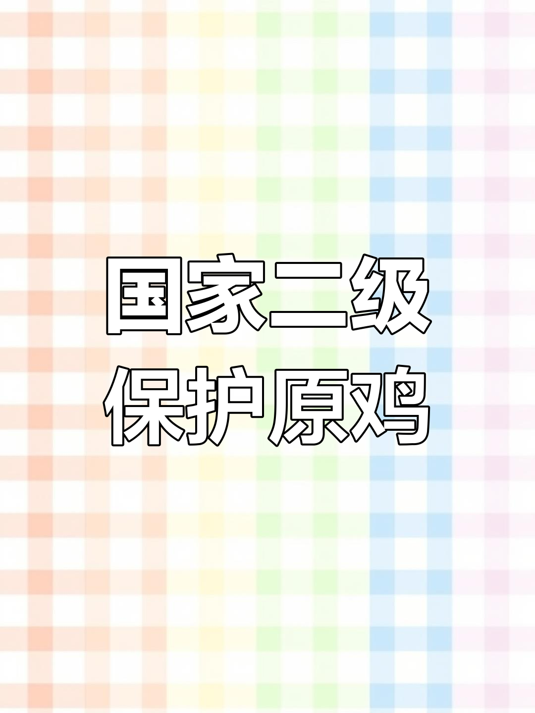 野鸡竟是国家保护动物,抓捕有风险