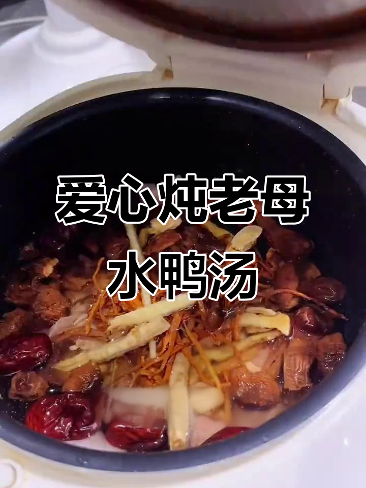 给最爱的人炖这碗老母水鸭汤,滋补又美味!
