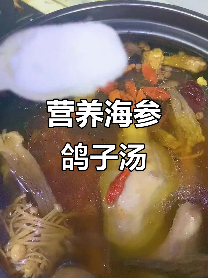 海参鸽子汤,滋补又美味,炖出满满的爱与健康