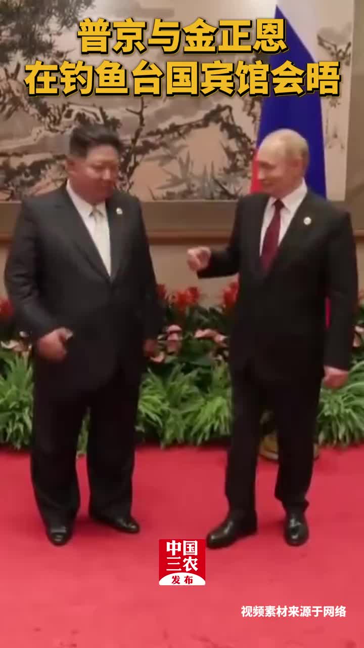 「视频」普京与金正恩,在钓鱼台国宾馆会晤