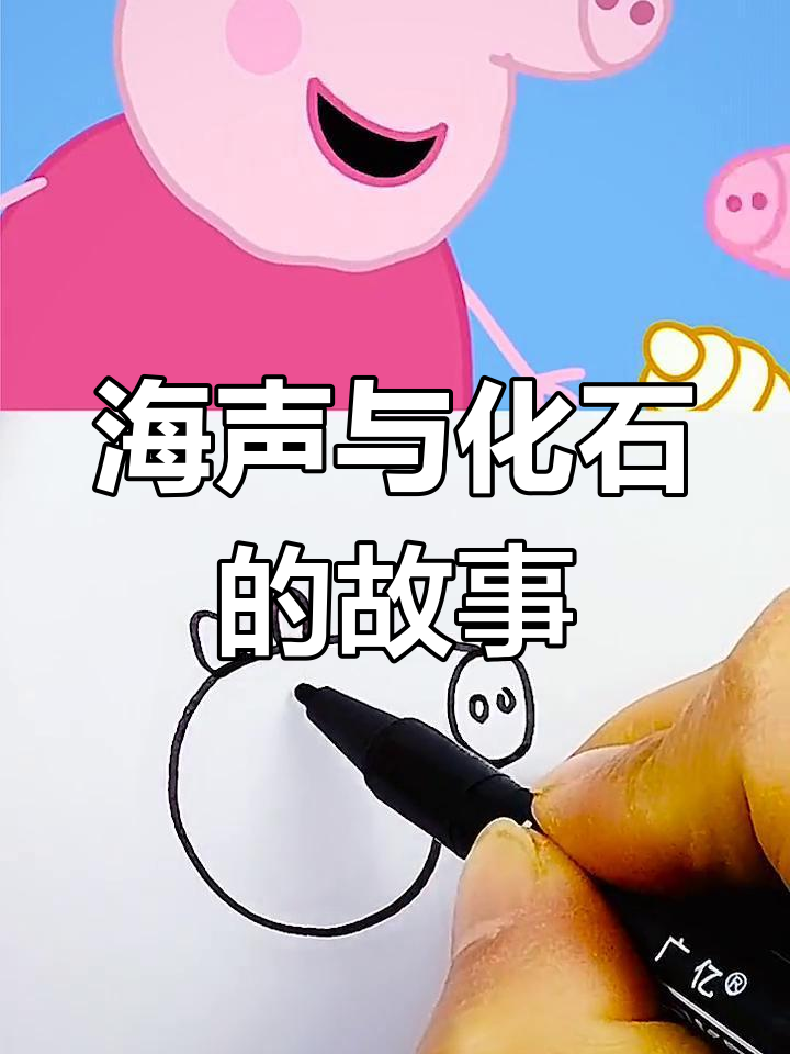 小鱼化石与海螺的奇妙故事,你能听到海的呼唤吗?