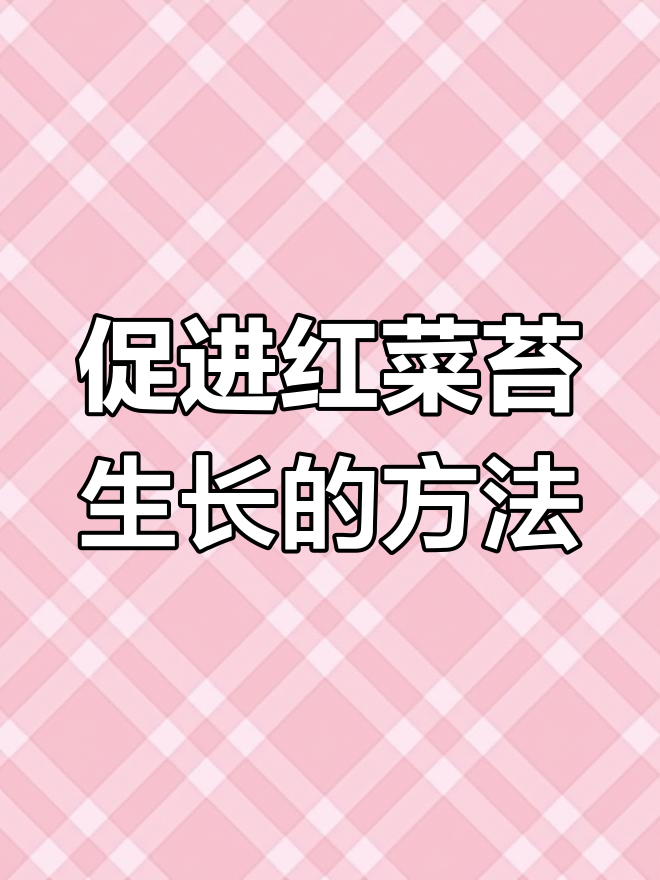 红菜苔种植技巧:如何防止只长叶不抽苔