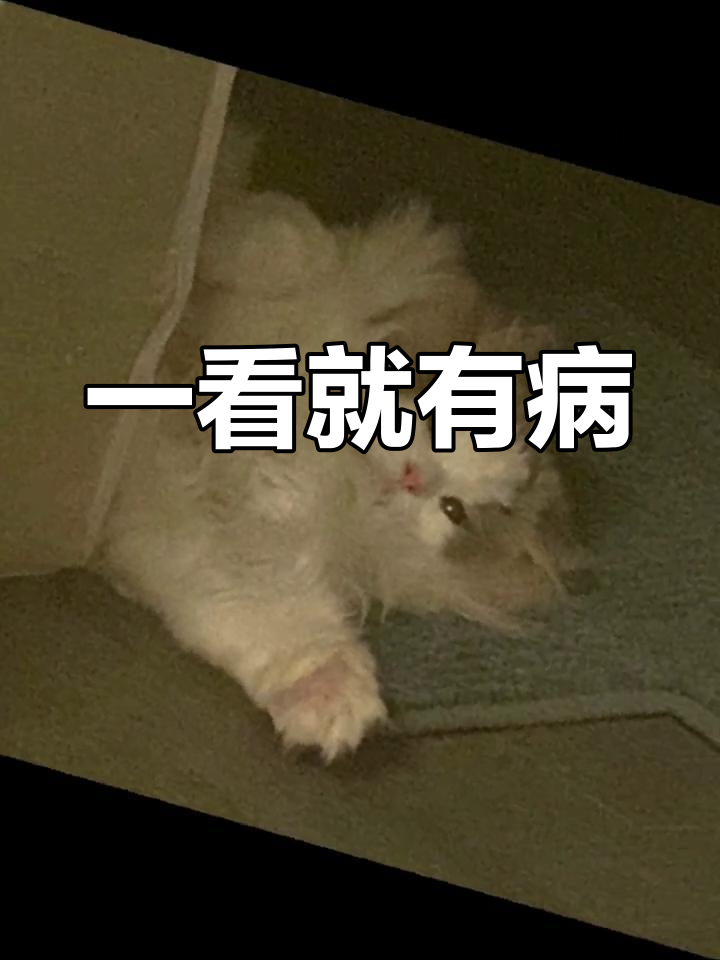 让人看了就生病的头像