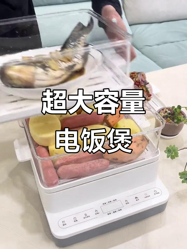 大容量电饭煲,24小时预约,轻松应对全家需求