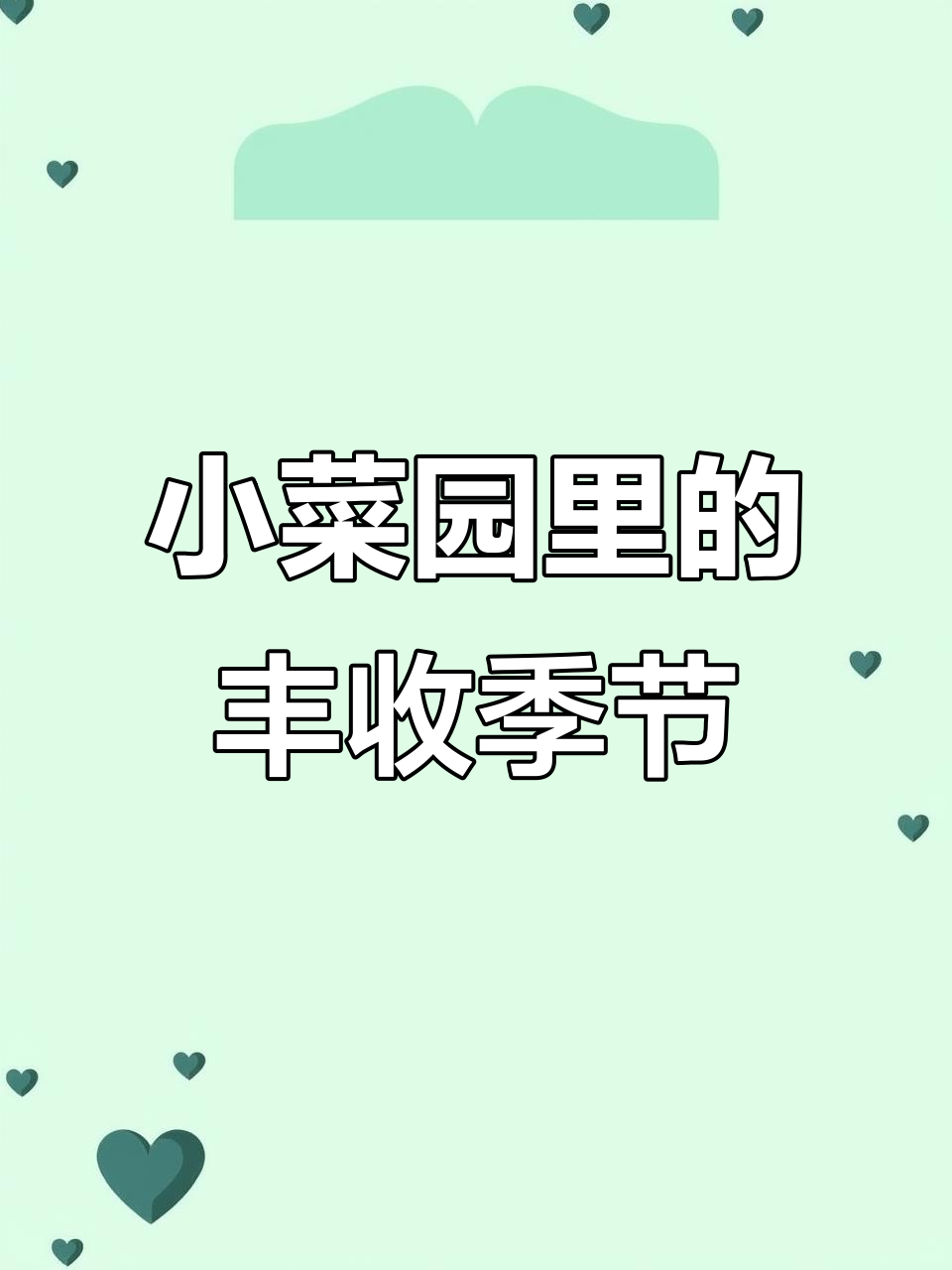 安徽农村小菜园,四季蔬菜一应俱全