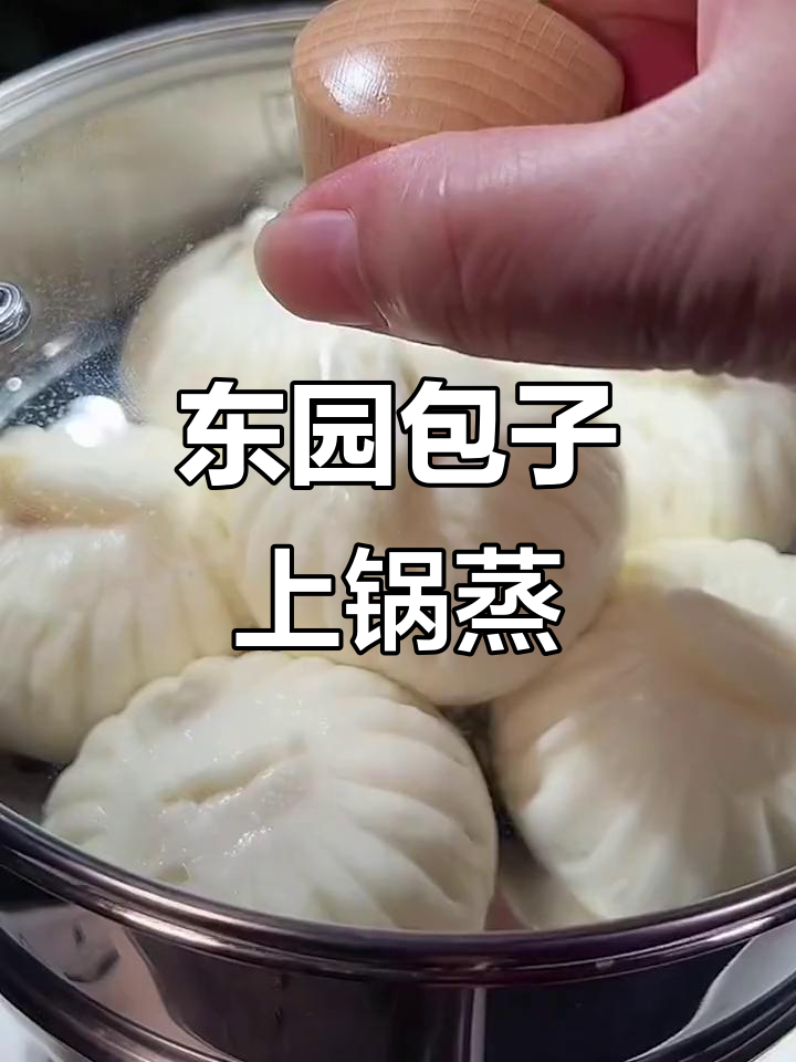 扬州东园大包子,鲜肉青菜豆腐皮一应俱全,蒸十分钟就能吃