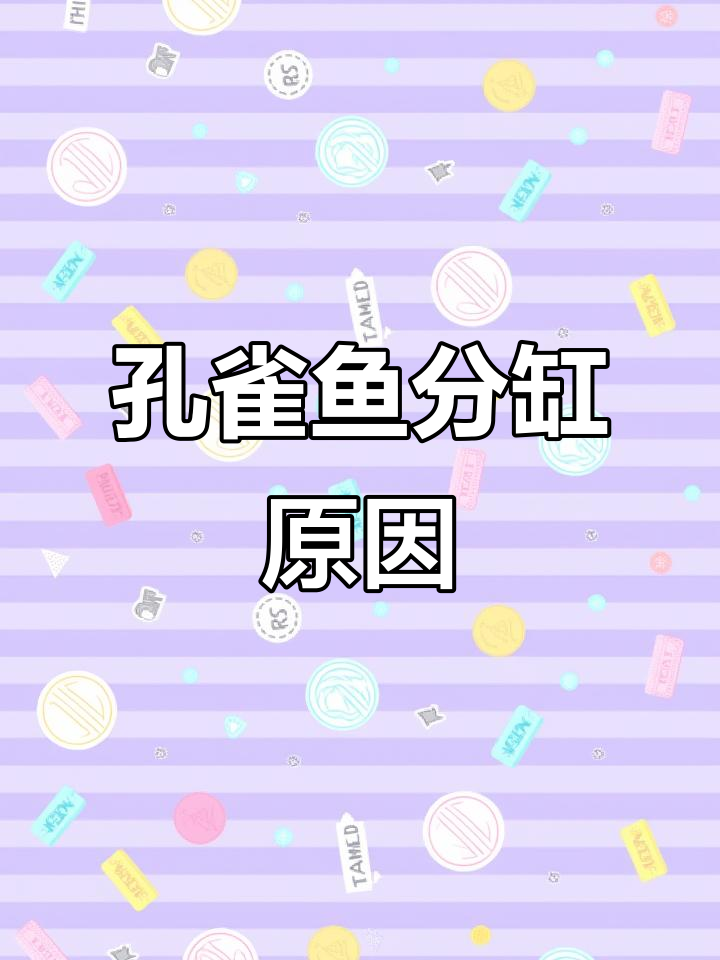 孔雀鱼分缸的必要性:公母分开才能健康成长