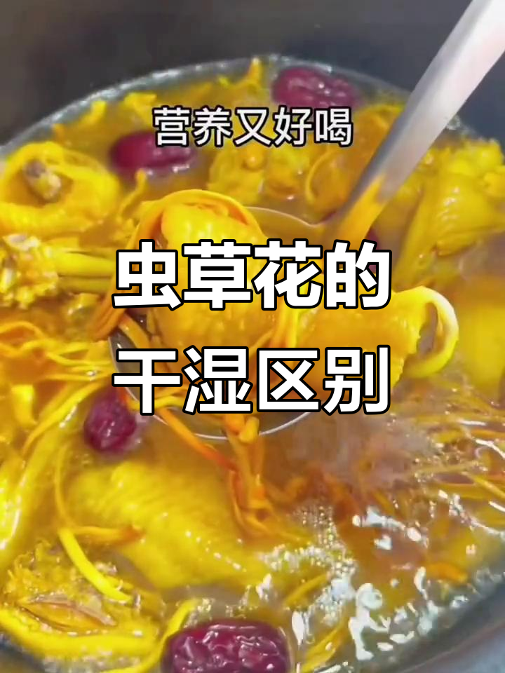 高山虫草花:干品与鲜品的功效差异,如何选择最适合你的产品